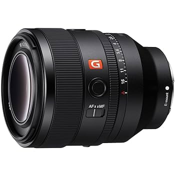 レンズ(単焦点) sony gm 50mm f1.2 SONY FE 50mm F1.2 GM（ソニーEマウント） | MAP RENTAL